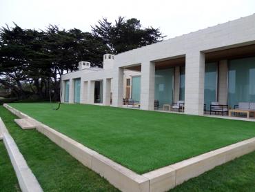 Artificial Grass Photos: Fake Pet Grass Solana Beach California Lawns